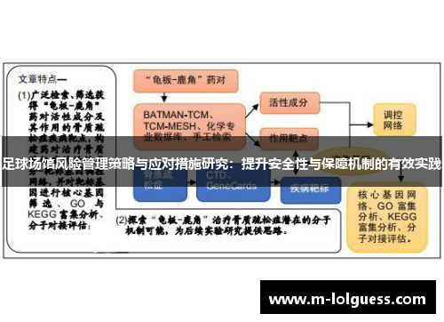 足球场馆风险管理策略与应对措施研究：提升安全性与保障机制的有效实践