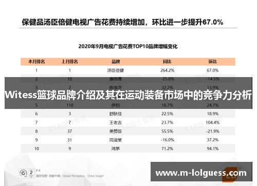 Witess篮球品牌介绍及其在运动装备市场中的竞争力分析