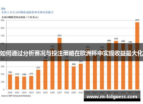 如何通过分析赛况与投注策略在欧洲杯中实现收益最大化