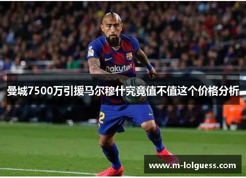曼城7500万引援马尔穆什究竟值不值这个价格分析