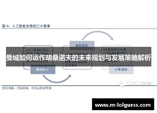 曼城如何运作胡桑诺夫的未来规划与发展策略解析