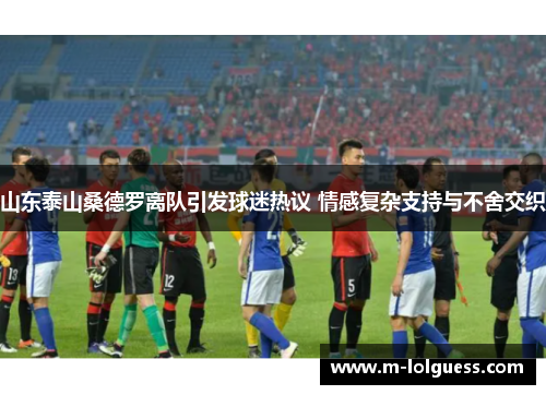 山东泰山桑德罗离队引发球迷热议 情感复杂支持与不舍交织