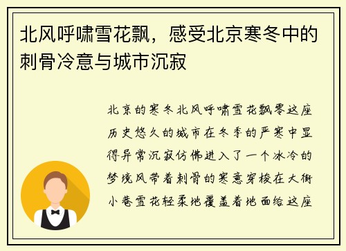北风呼啸雪花飘，感受北京寒冬中的刺骨冷意与城市沉寂