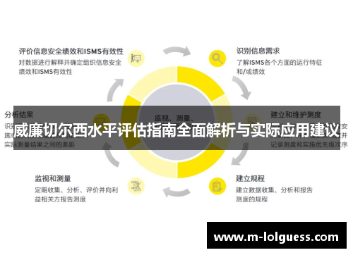 威廉切尔西水平评估指南全面解析与实际应用建议
